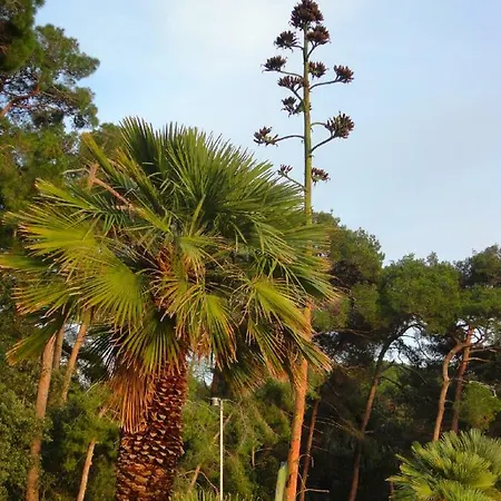 Simona * Mali Lošinj