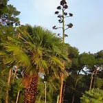 Simona * Mali Losinj